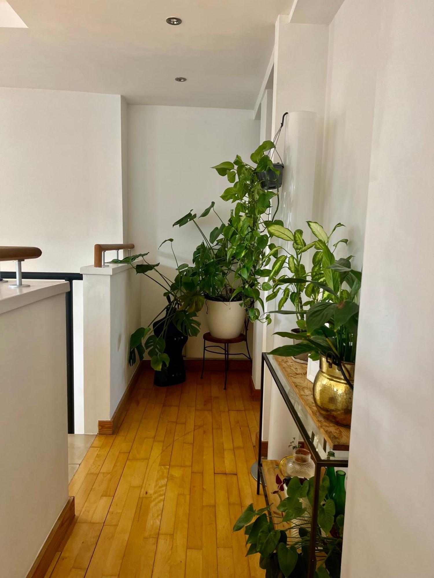 Huge Room For Recharge And Relaxation In Loft With Sauna In Central Londres Exterior foto